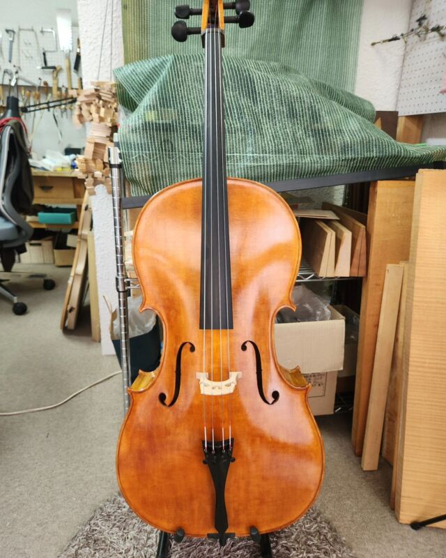 Zyex Violin String Set, 4/4 Scale, Medium Tension